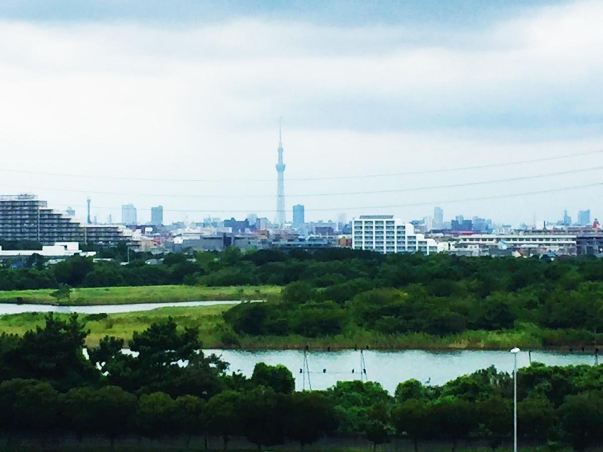 Nice Inn Hotel Ichikawa Tokyo Bay Urayasu Ngoại thất bức ảnh